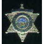 CALIFORNIA STATE PARKS BADGE PIN